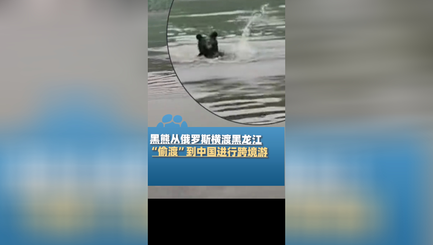 24年新澳彩资料免费长期公开2025波色表,什么是双相情感障碍,重点解答解释落实_钻石版V7.1