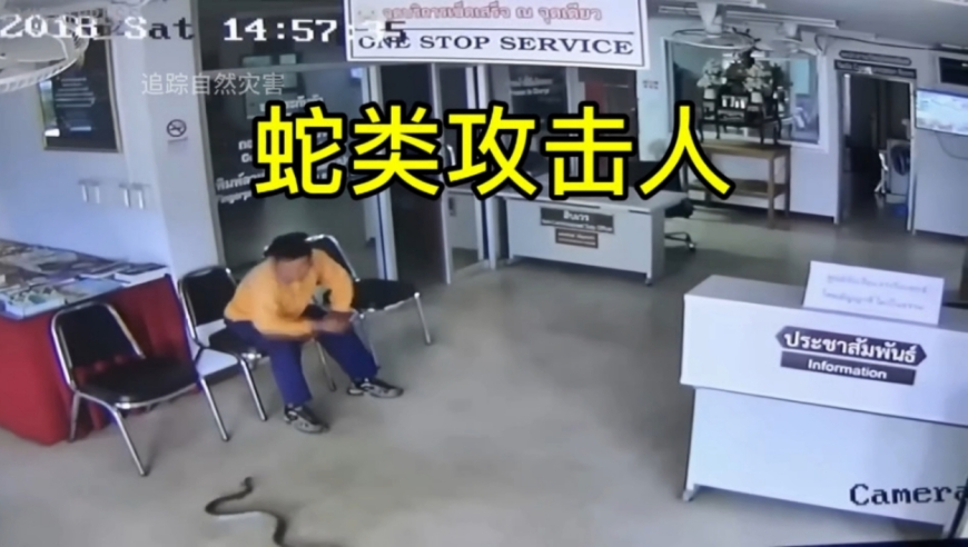 美空军男兵穿女式内衣送F16出库,今日澳门历史记录查询,广泛的解释落实支持计划_基础版V5.7